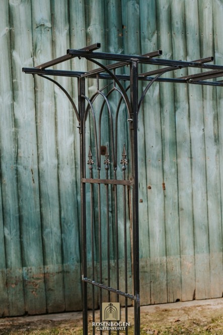 Rosenbogen ANTONIA