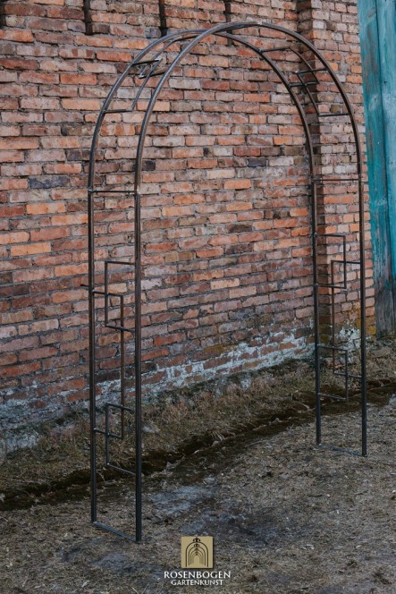 Rosenbogen JEANETTE