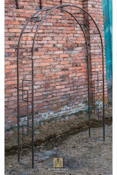 Rosenbogen JEANETTE