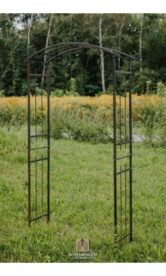 Rosenbogen AMELIE