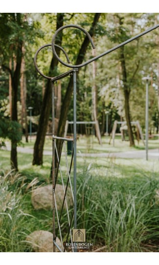 Rosenbogen MAYA