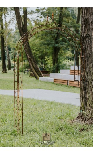 Wandrosenbogen HANNAH