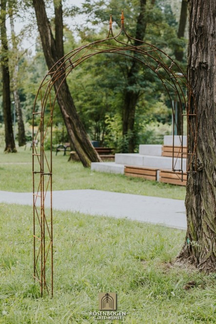 Wandrosenbogen HANNAH