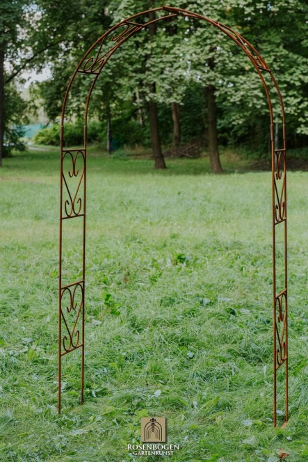 Rosenbogen Clara