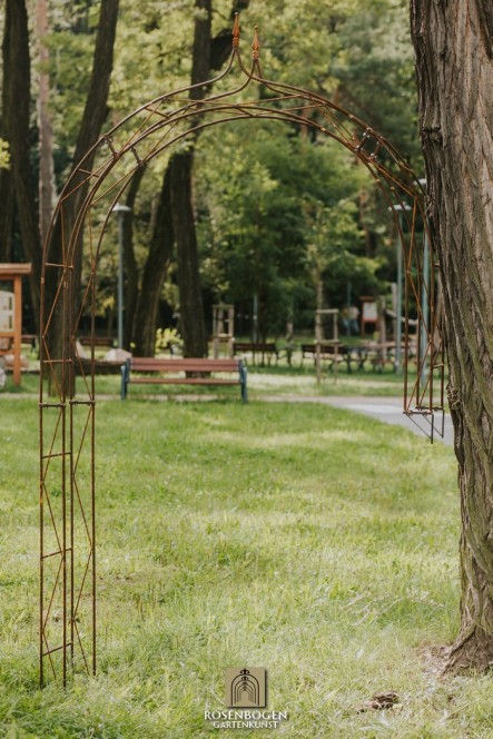 Wandrosenbogen HANNAH