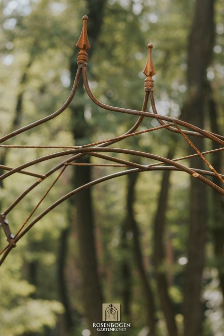 Wandrosenbogen HANNAH