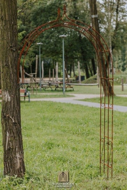 Wandrosenbogen Lena Spitze