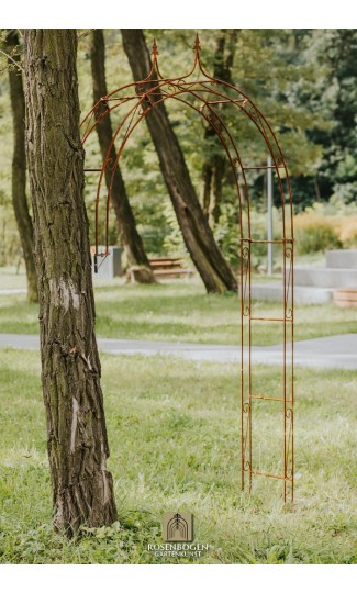 Wandrosenbogen Lena Spitze