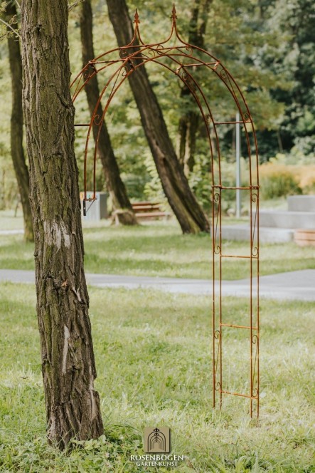 Wandrosenbogen Lena Spitze