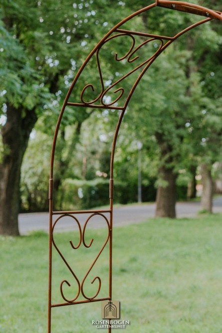 Rosenbogen Clara