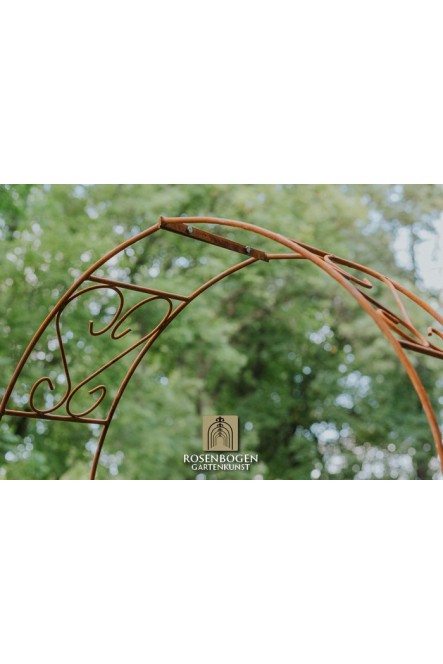Rosenbogen Clara