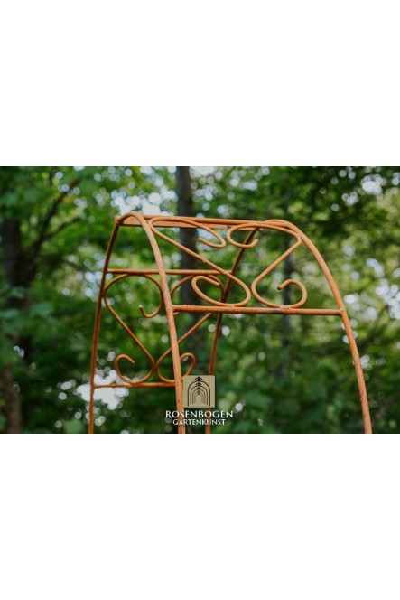 Rosenbogen Clara