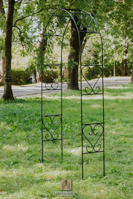 Rosenbogen Clara