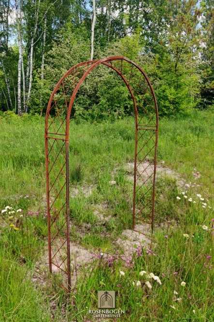 Rosenbogen LILLY