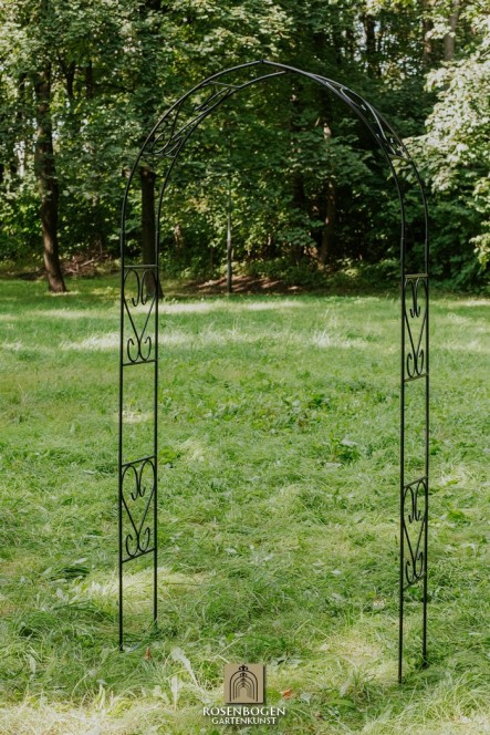 Rosenbogen Clara