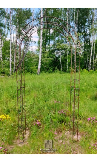 Rosenbogen ALEX Rund