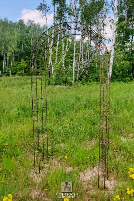 Rosenbogen ALEX Rund