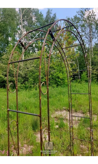 Rosenbogen ALEX Rund