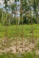Pavillon ALEX 4-Ecking 200 x 200 cm