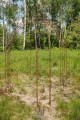 Pavillon ALEX 4-Ecking 200 x 200 cm