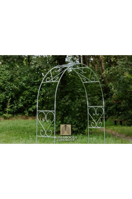 Rosenbogen Clara
