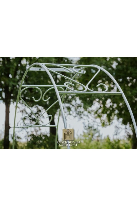 Rosenbogen Clara
