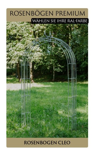 Rosenbogen PREMIUM CLEO