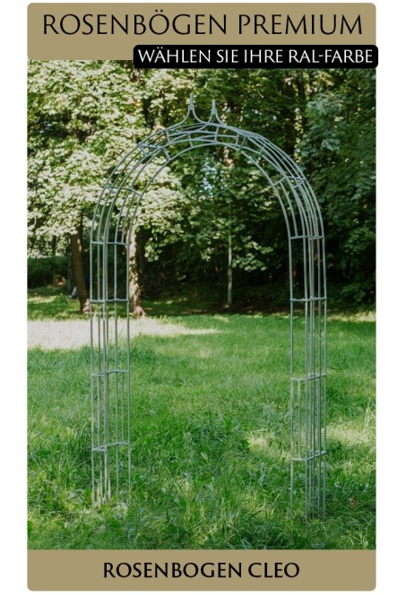 Rosenbogen PREMIUM CLEO