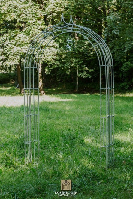 Rosenbogen PREMIUM CLEO