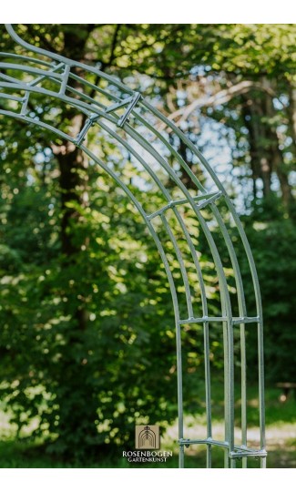 Rosenbogen PREMIUM CLEO