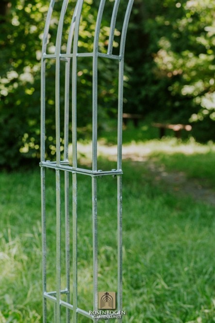 Rosenbogen PREMIUM CLEO