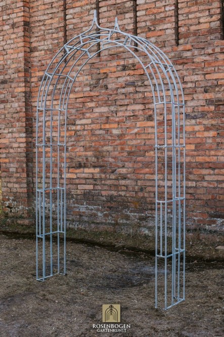 Rosenbogen PREMIUM CLEO