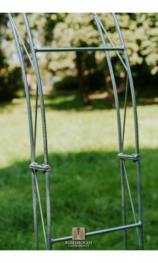 Rosenbogen PREMIUM HANNAH