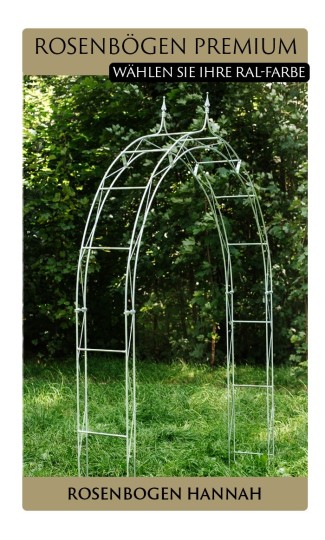 Rosenbogen PREMIUM HANNAH