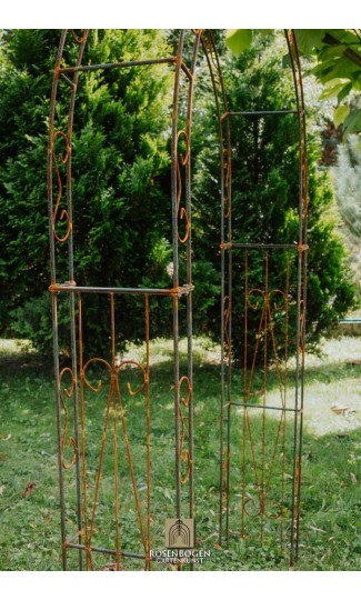 Rosenbogen BIANCA