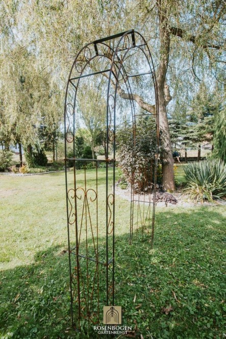 Rosenbogen BIANCA