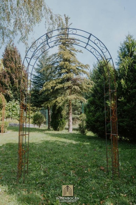 Rosenbogen BIANCA