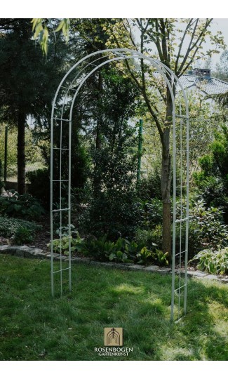 Rosenbogen CARMEN