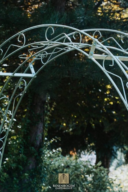 Rosenbogen HALBOVAL
