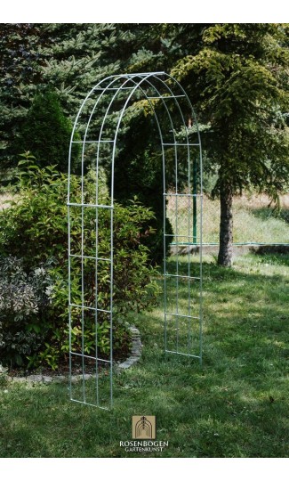 Rosenbogen LARA