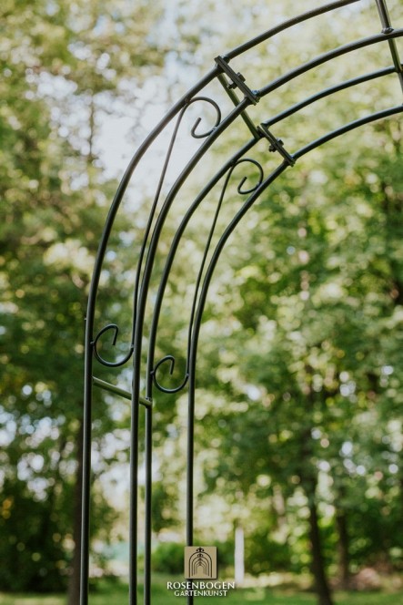 Rosenbogen Lena