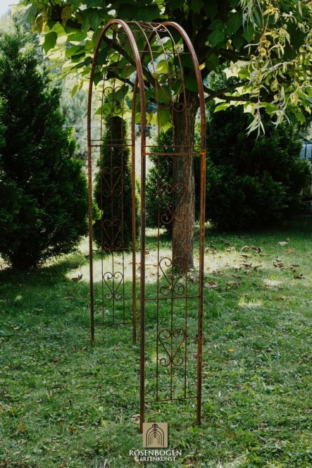 Rosenbogen MELANIE