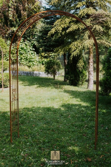 Rosenbogen MELANIE