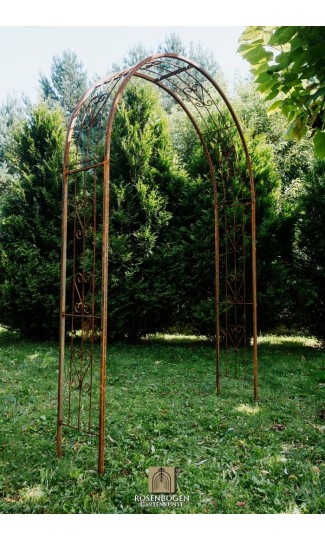 Rosenbogen MELANIE