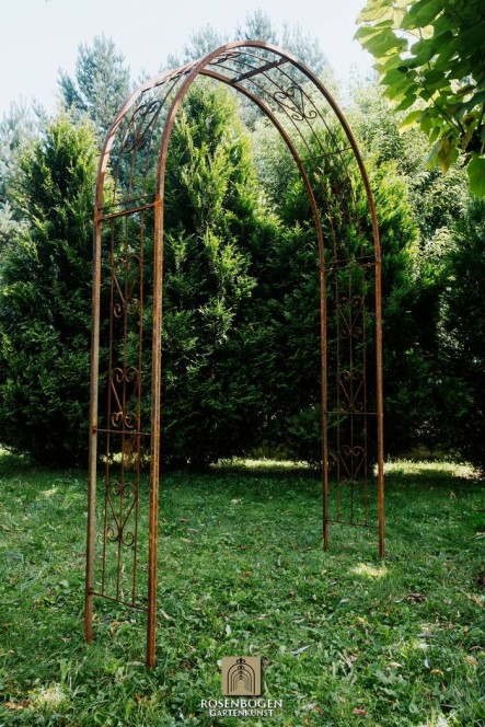 Rosenbogen MELANIE