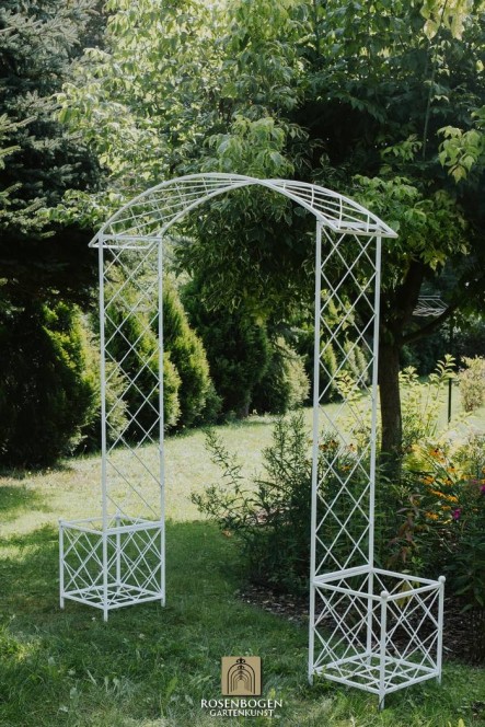 Rosenbogen PREMIUM SABINE
