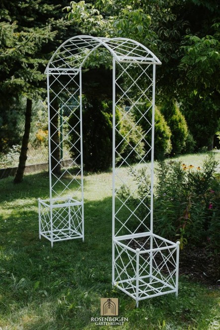 Rosenbogen PREMIUM SABINE